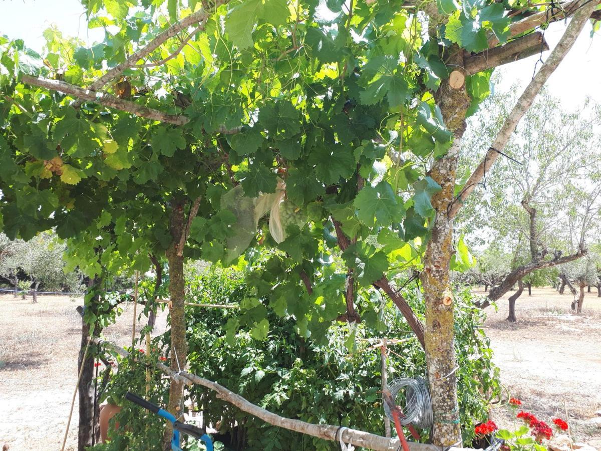 Casa De Bello Tortosa Ngoại thất bức ảnh